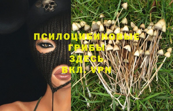 MDMA Premium VHQ Заводоуковск