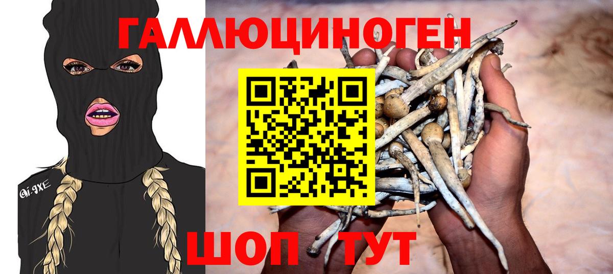 купить наркоту  Вход с VPN  Свободный  Галлюциногенные грибы GOLDEN TEACHER 