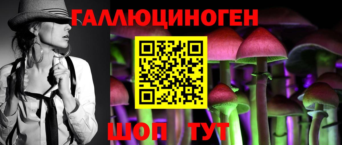 Галлюциногенные грибы Magic Shrooms Свободный